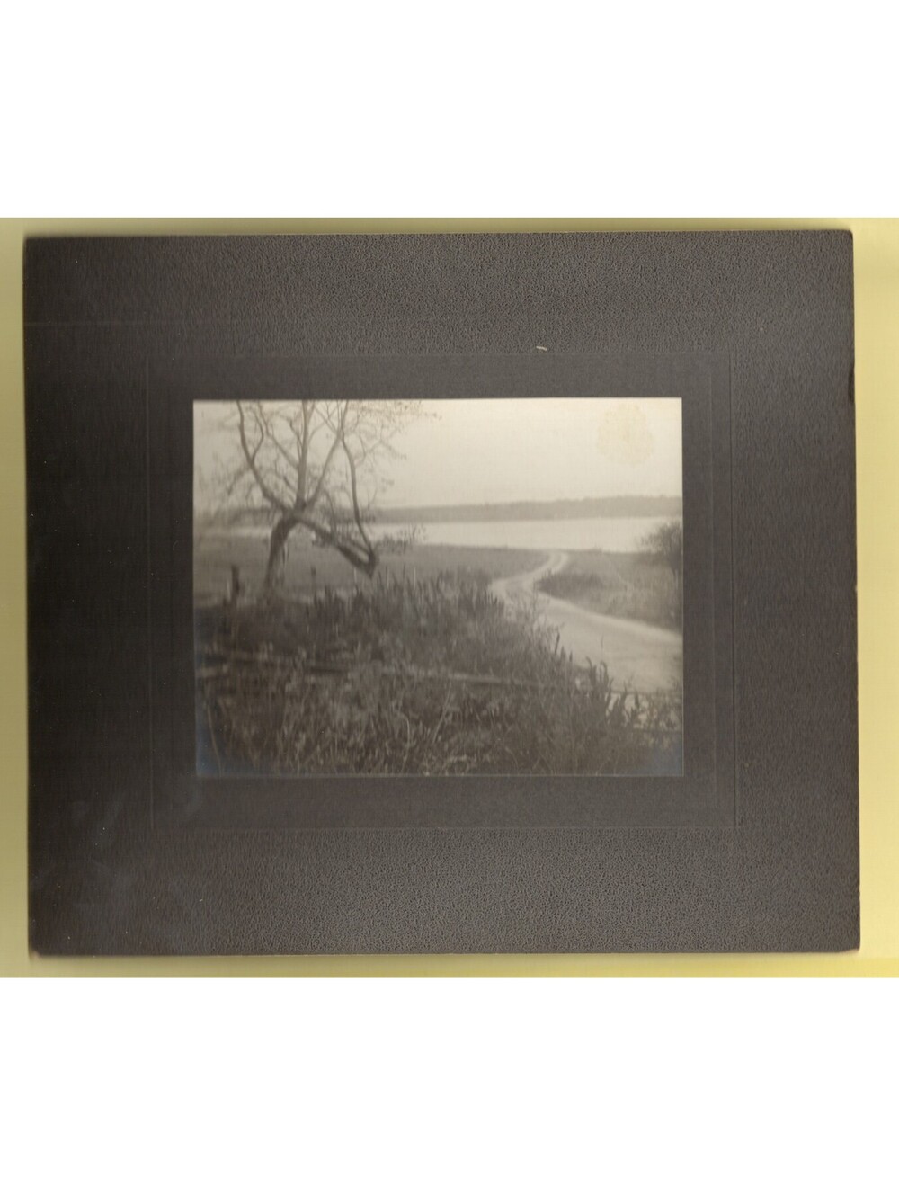 Photo of Path with Lake Nature Mounted 8'x7'